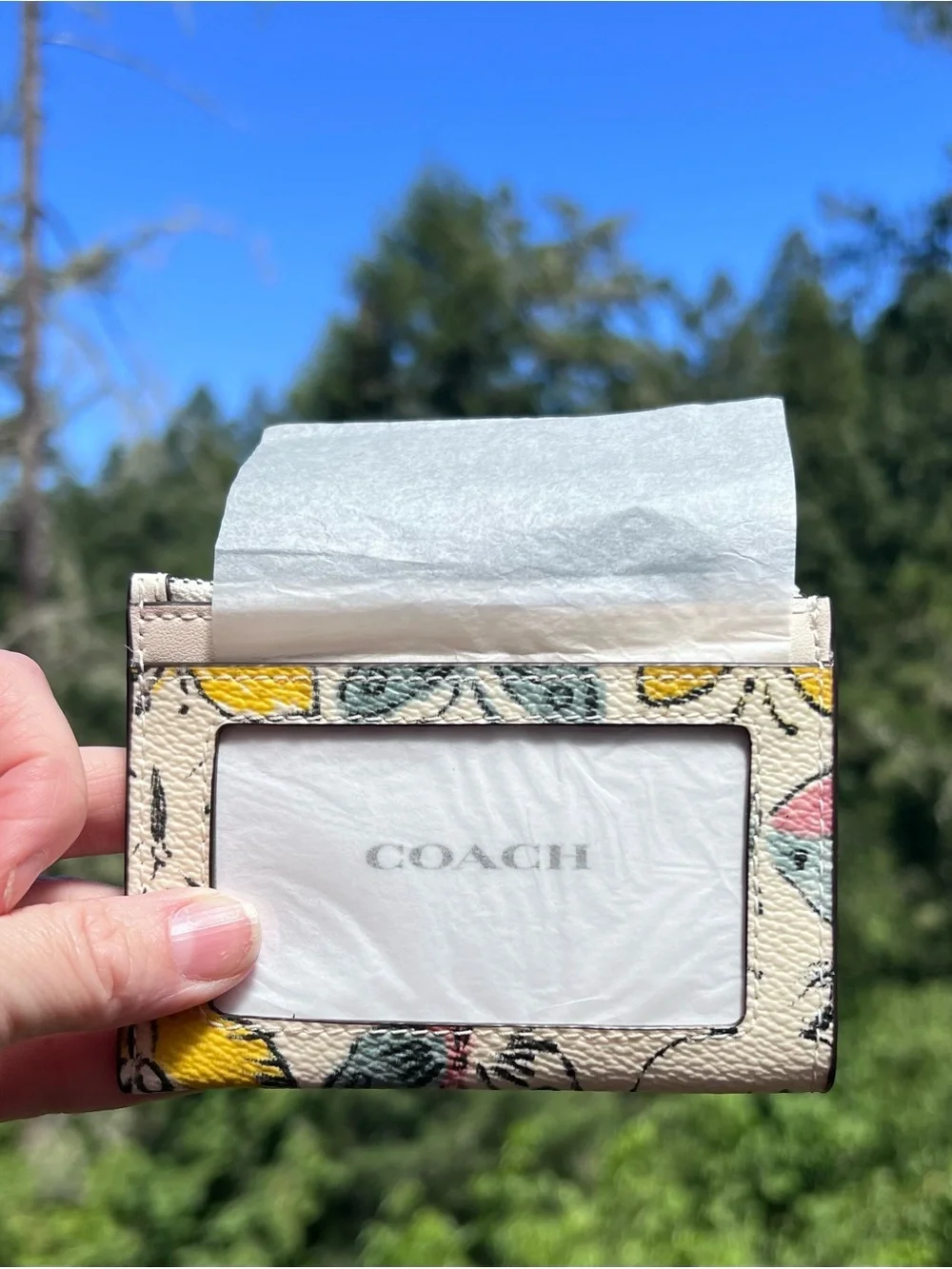 NWT COACH Mini Skinny Id Cardholder Case & Keychain w Butterfly Print CAR22